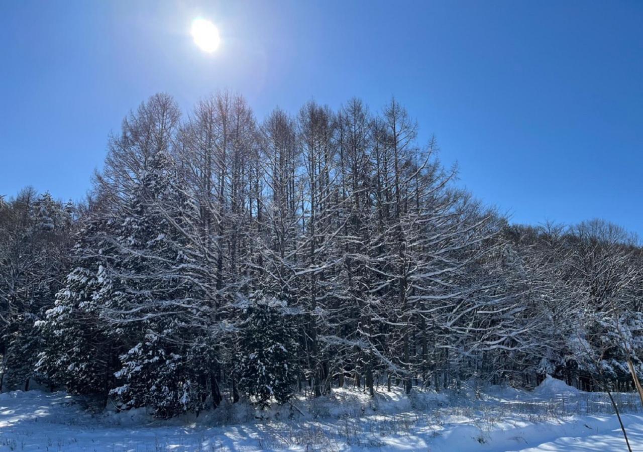 月ノ森 -Moon Forest- Fujikawaguchiko Exterior foto